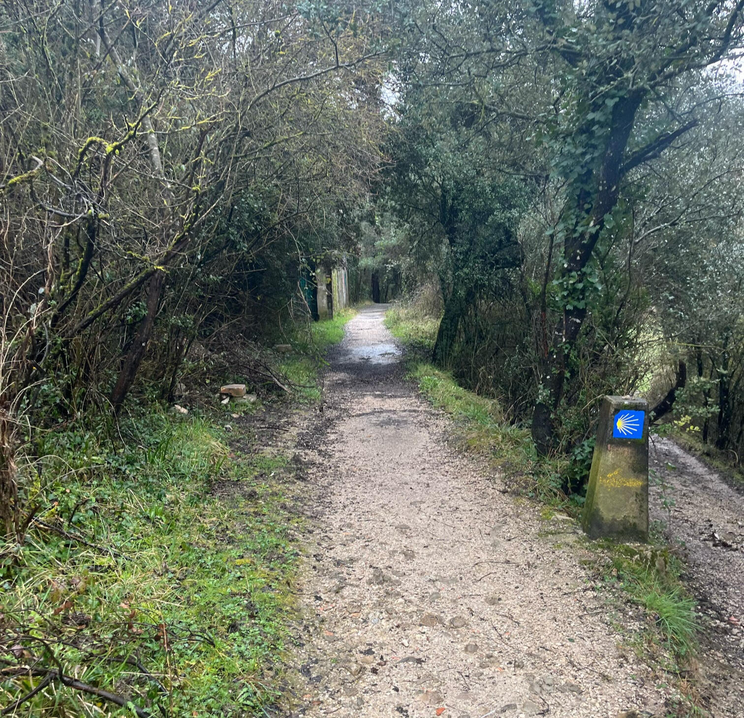 Hola Camp - Camino Hola Camp - Camino